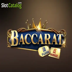 ব্যাকারেট C08 - 6777 bet apk app ক্যাসিনো